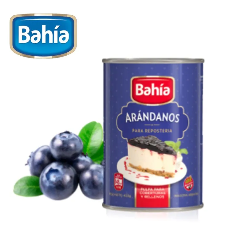 ARANDANOS BAHIA 453 GR REPOST