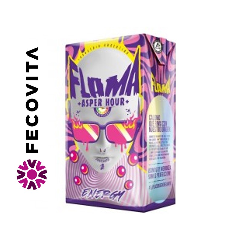 VINO FLAMA ENERGY 1 LTR (12XB)