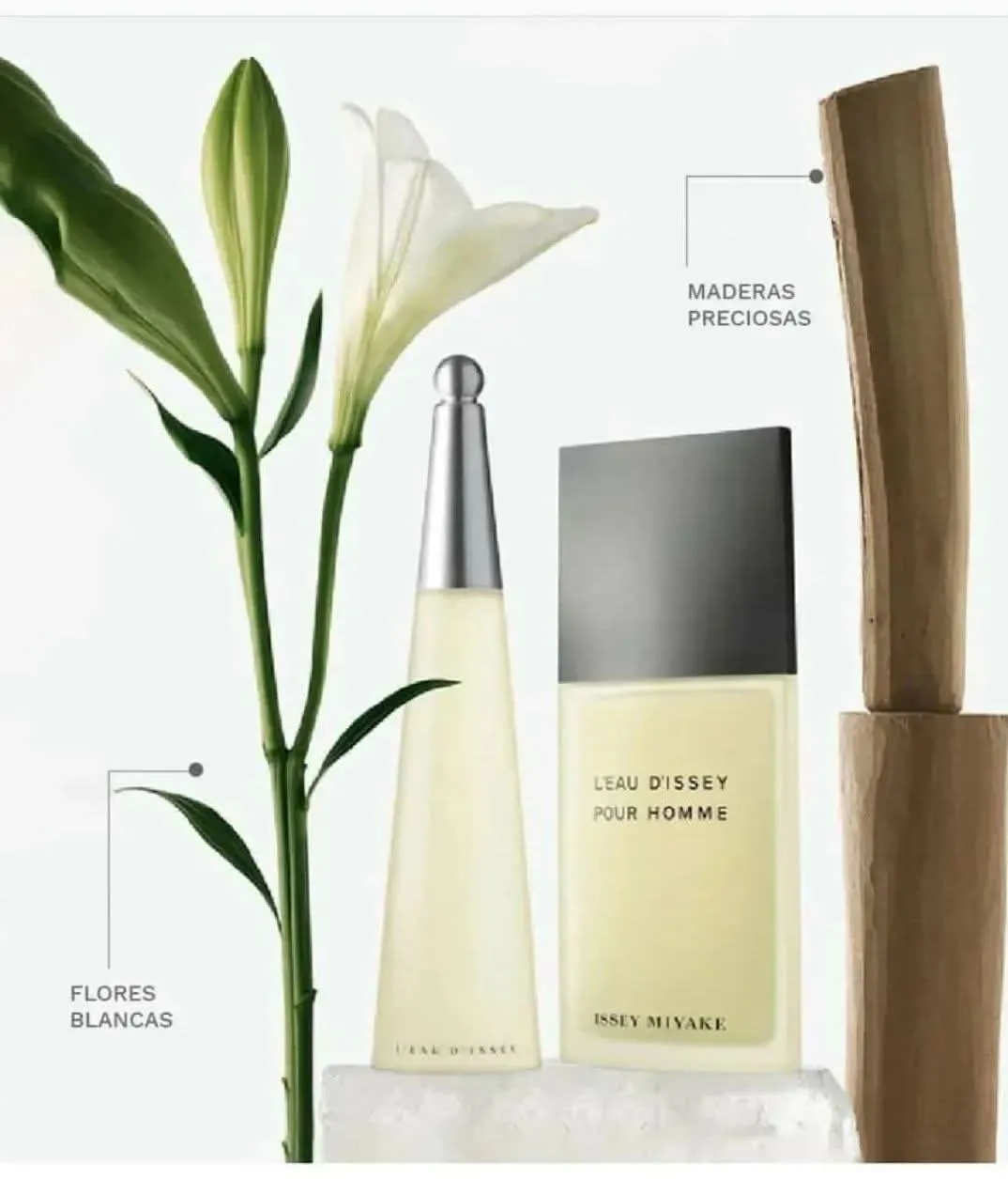ISSEY MIYAKE EDT 200 ml 