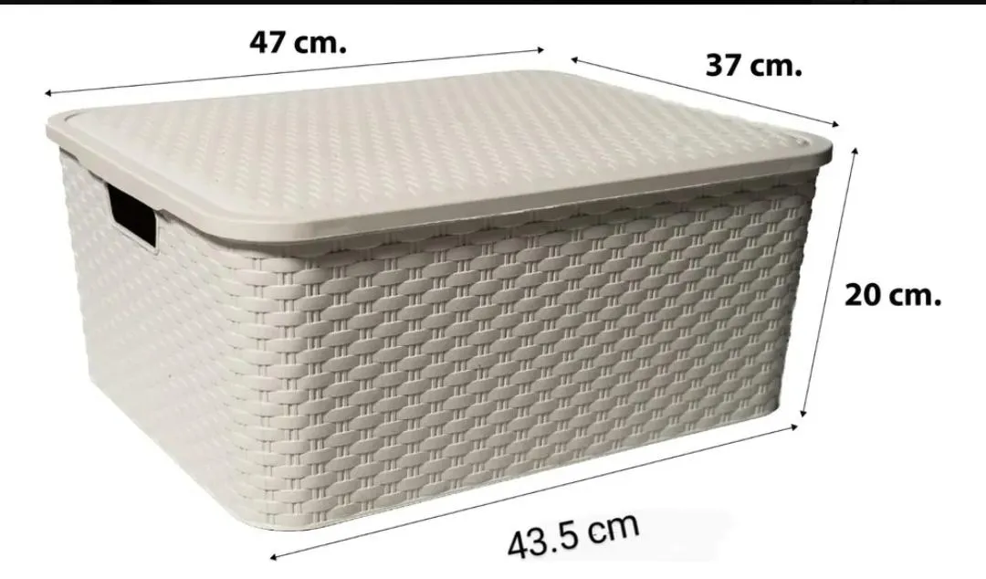 organizador simil ratan con tapa blanco - imagen 2