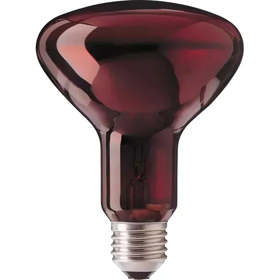 Lámpara infrarrojo 100w Philips