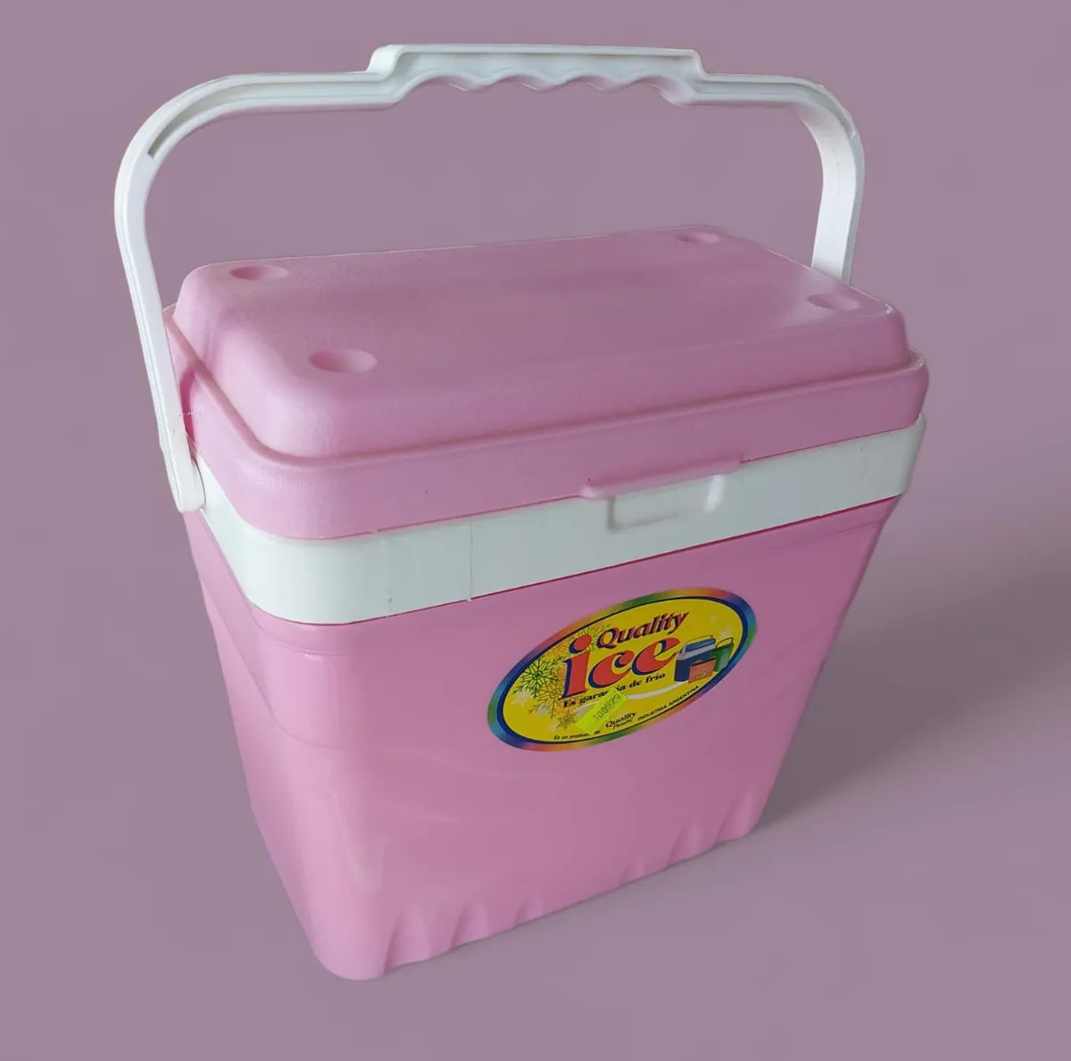 Lunchera 5 litros rosa