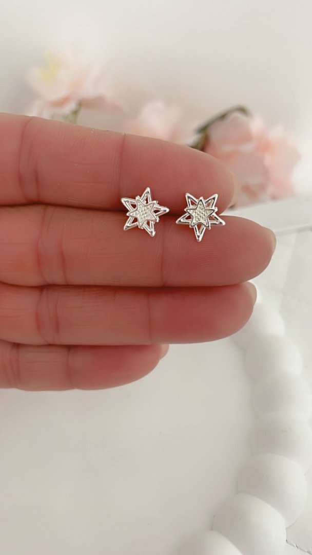 Aros Pasantes Estrellla